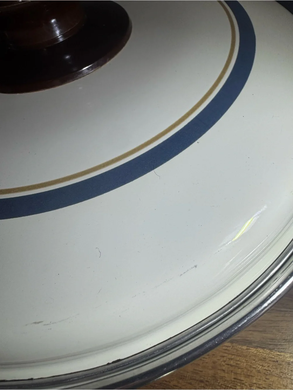 Vintage Country Goose Enamel 9
